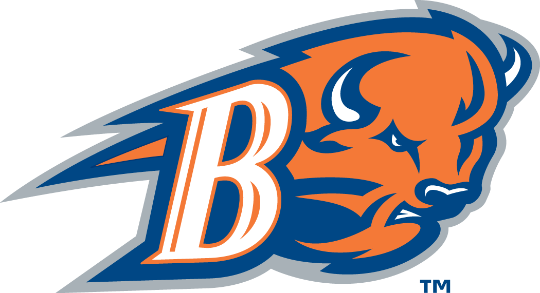 Bucknell Bison 2002-Pres Alternate Logo v2 iron on transfers for T-shirts
